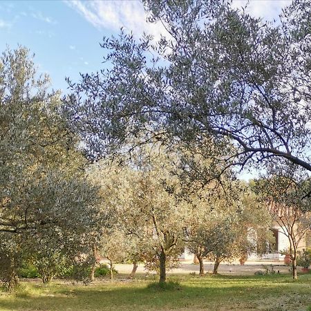 Mas Des Oursons - Chambres D'Hotes Arles Dış mekan fotoğraf