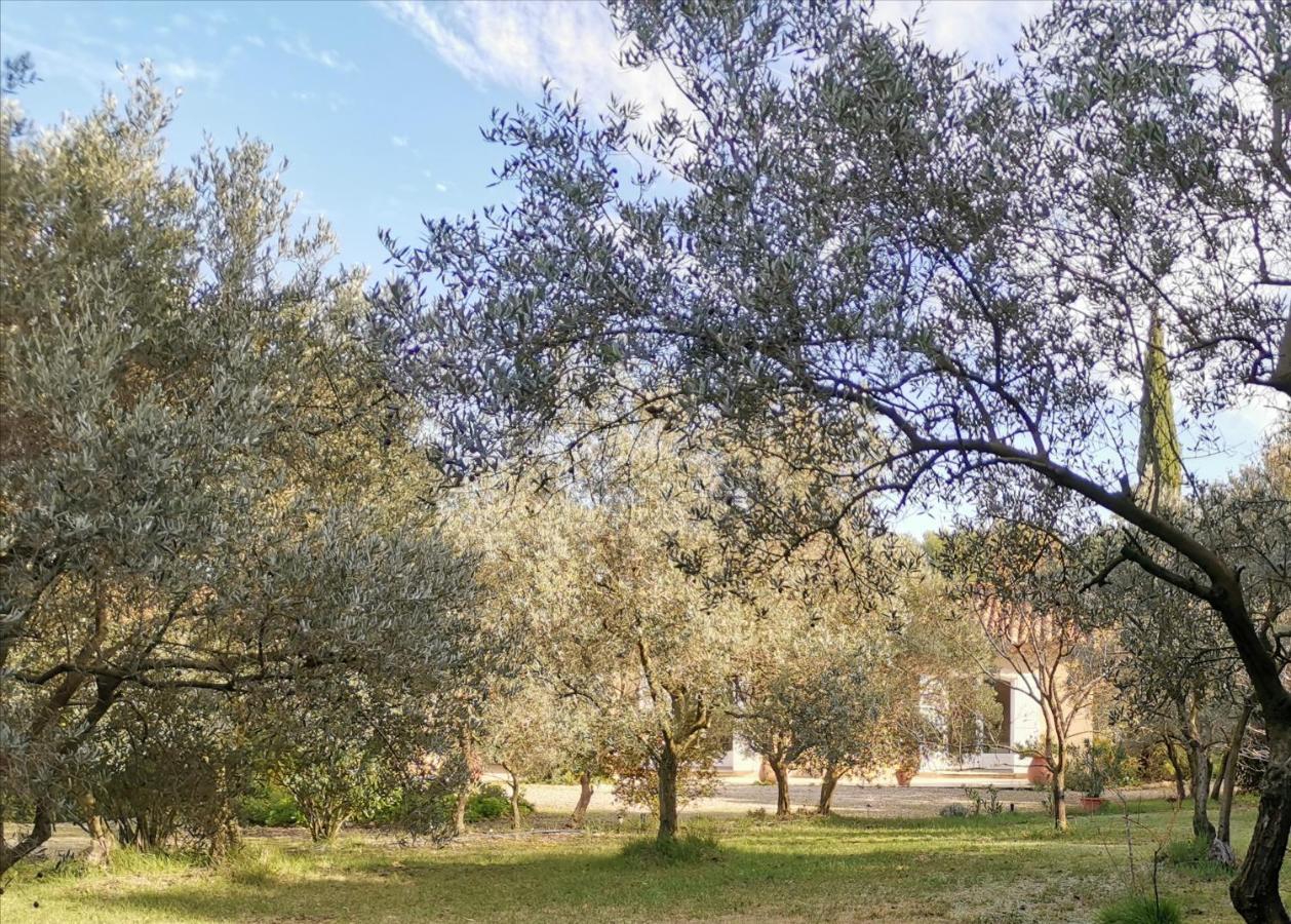 Mas Des Oursons - Chambres D'Hotes Arles Dış mekan fotoğraf